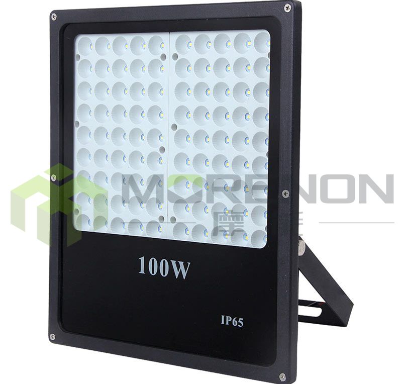 MN-TGDU1-100 Floodlight