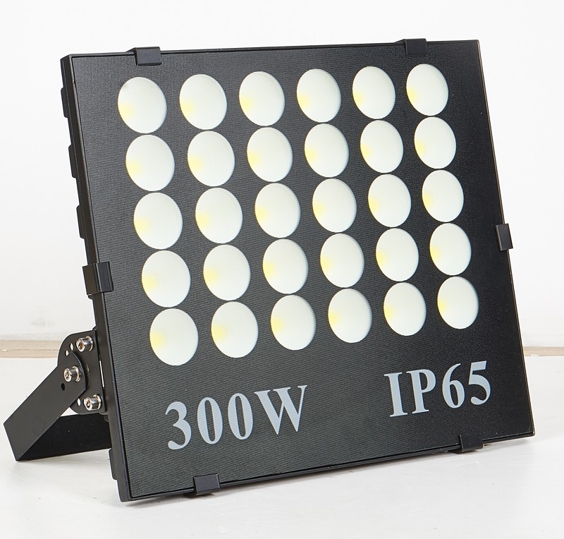 MN-W300 Floodlight