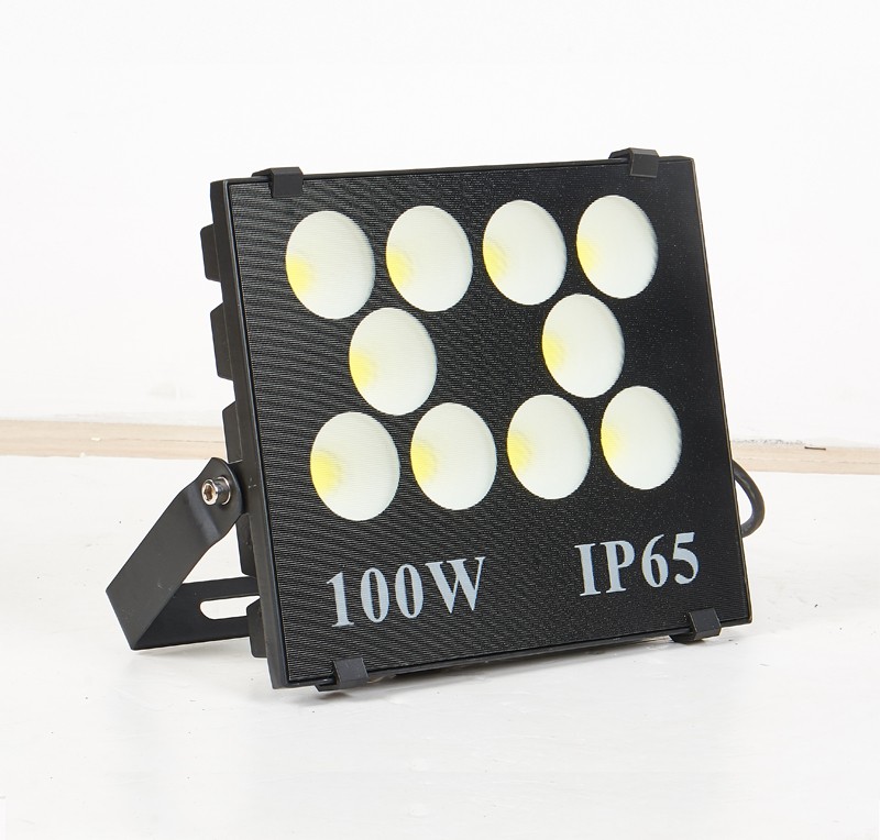 MN-W100 Floodlight