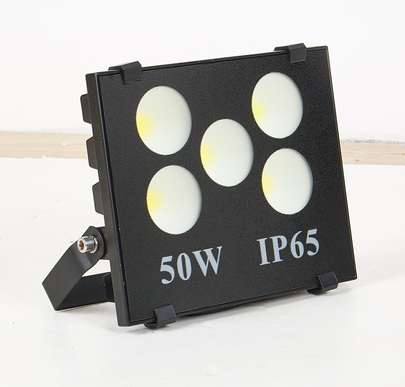 MN-W50 Floodlight