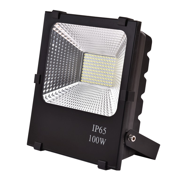 MN-TGDP1-100 Floodlight