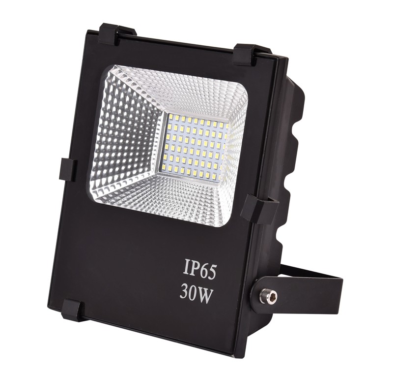 MN-TGDP1-30 Floodlight